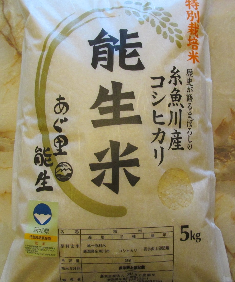 越後の空　あぐり能生　特別栽培米　令和４年度産　白米５キログラム